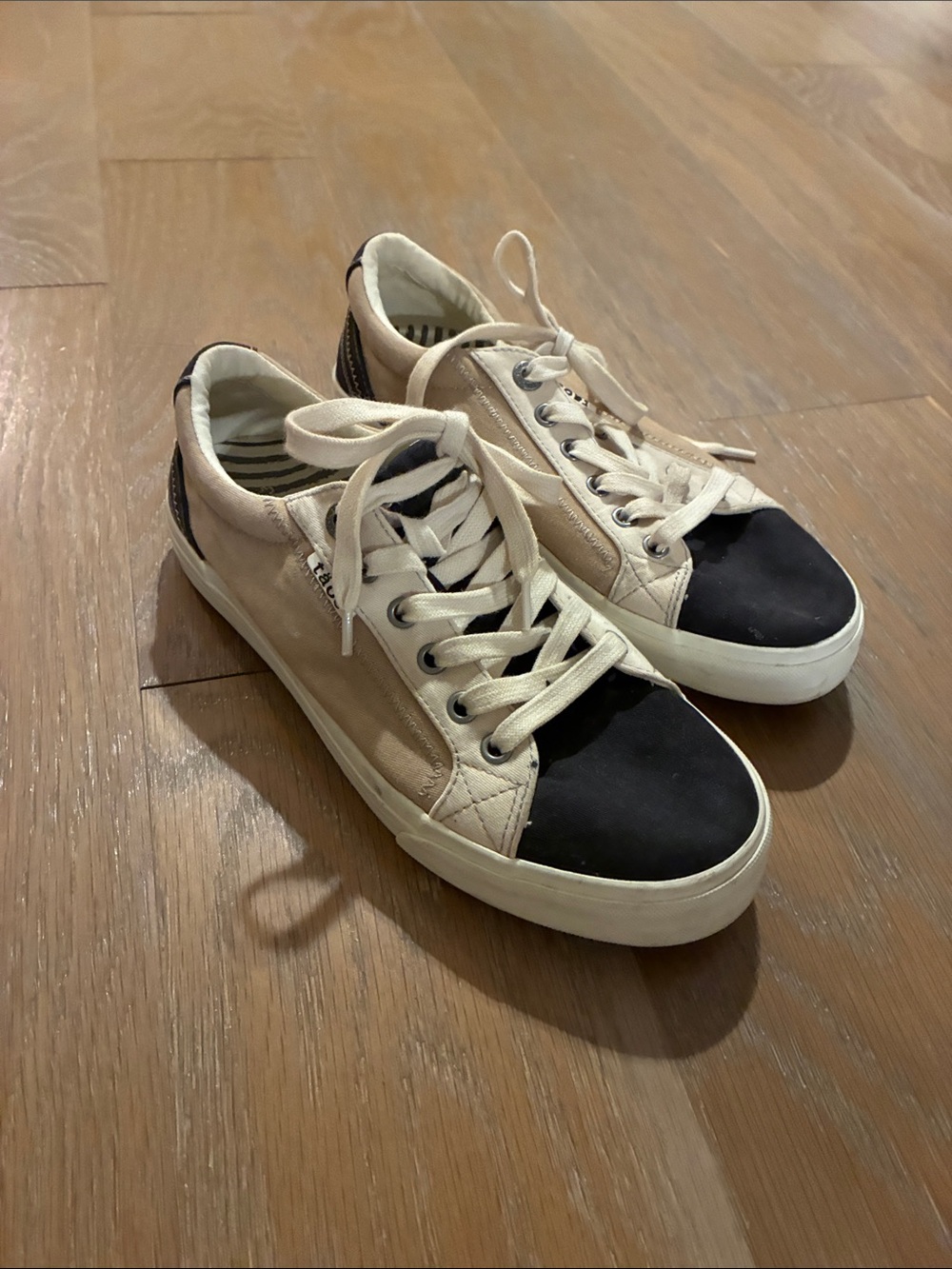 Taos Footwear Beige and Black Low-Top Lace-Up Sneakers